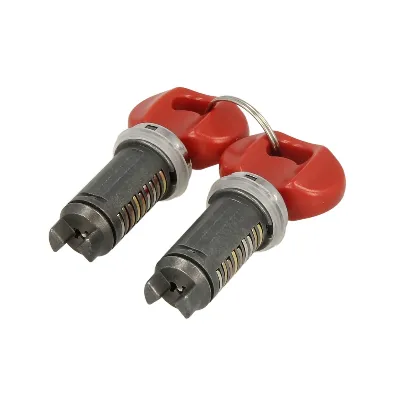 Set prekidača paljenja, ključevi RMS RMS 12 179 0160 IC-D67DA3