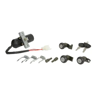 Set prekidača paljenja, ključevi RMS RMS 24 605 0380 IC-D67F60