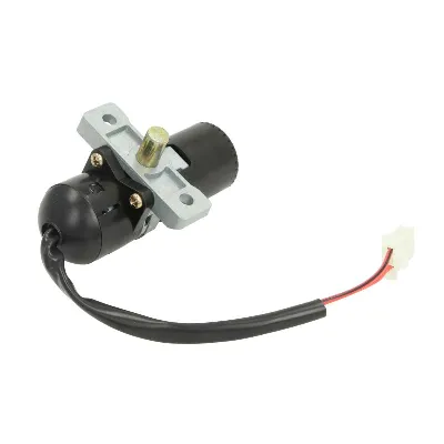 Set prekidača paljenja, ključevi RMS RMS 24 605 0390 IC-D67F61