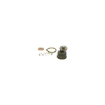 Set za popravku, Common-rail sistem BOSCH F 00N 200 999 IC-AC166D Set za popravku, Common-rail sistem BOSCH F 00N 200 999 IC-AC166D