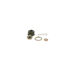 Set za popravku, Common-rail sistem BOSCH F 00N 200 999 IC-AC166D Set za popravku, Common-rail sistem BOSCH F 00N 200 999 IC-AC166D