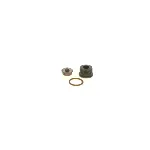 Set za popravku, Common-rail sistem BOSCH F 00N 201 244 IC-AEE142 Set za popravku, Common-rail sistem BOSCH F 00N 201 244 IC-AEE142