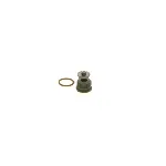 Set za popravku, Common-rail sistem BOSCH F 00N 201 244 IC-AEE142 Set za popravku, Common-rail sistem BOSCH F 00N 201 244 IC-AEE142