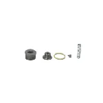 Set za popravku, Common-rail sistem BOSCH F 00N 201 338 IC-AEE144 Set za popravku, Common-rail sistem BOSCH F 00N 201 338 IC-AEE144