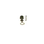 Set za popravku, Common-rail sistem BOSCH F 00N 201 338 IC-AEE144 Set za popravku, Common-rail sistem BOSCH F 00N 201 338 IC-AEE144