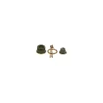Set za popravku, Common-rail sistem BOSCH F 00N 201 451 IC-AEE145 Set za popravku, Common-rail sistem BOSCH F 00N 201 451 IC-AEE145