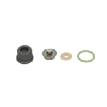 Set za popravku, Common-rail sistem BOSCH F 00N 202 354 IC-C2F12A Set za popravku, Common-rail sistem BOSCH F 00N 202 354 IC-C2F12A