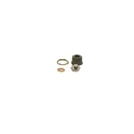 Set za popravku, Common-rail sistem BOSCH F 00N 202 354 IC-C2F12A Set za popravku, Common-rail sistem BOSCH F 00N 202 354 IC-C2F12A