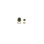 Set za popravku, Common-rail sistem BOSCH F 00N 202 354 IC-C2F12A Set za popravku, Common-rail sistem BOSCH F 00N 202 354 IC-C2F12A