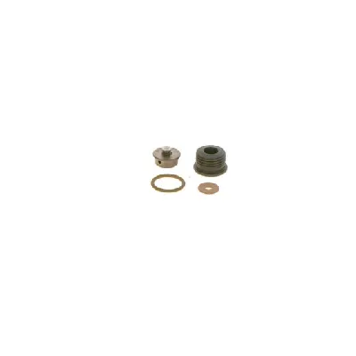 Set za popravku, Common-rail sistem BOSCH F 00N 202 418 IC-C12421