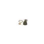Set za popravku, Common-rail sistem BOSCH F 00N 202 418 IC-C12421 Set za popravku, Common-rail sistem BOSCH F 00N 202 418 IC-C12421