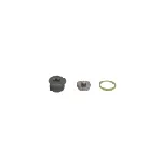 Set za popravku, Common-rail sistem BOSCH F 00N 202 692 IC-C2F131 Set za popravku, Common-rail sistem BOSCH F 00N 202 692 IC-C2F131