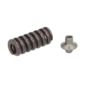 Set za popravku, jedinica pumpa-dizna BOSCH F 00H 4S0 008 IC-BAF591