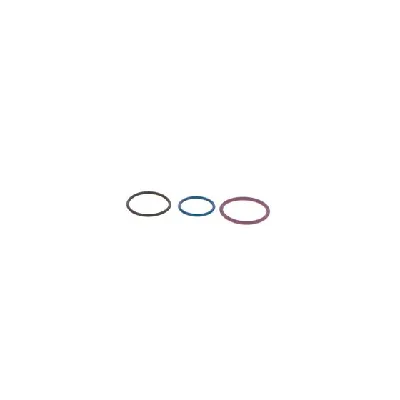 Set za popravku, jedinica pumpa-dizna BOSCH F 00V X99 999 IC-9ECE17