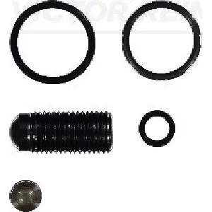 Set za popravku, jedinica pumpa-dizna REINZ 15-42119-01 IC-D7F988