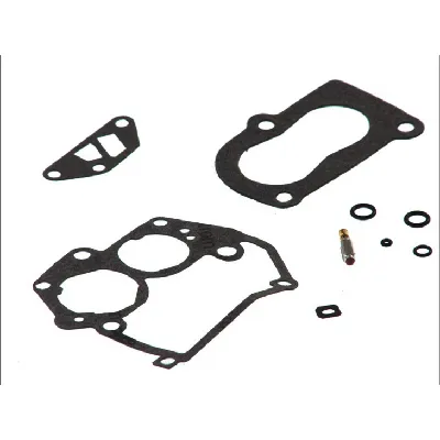 Set za popravku, karburator MEAT&DORIA MDS53G IC-228393
