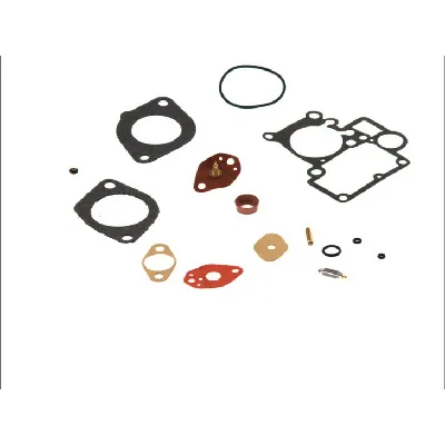 Set za popravku, karburator MEAT&DORIA MDS5G IC-228478