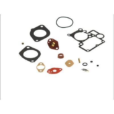 Set za popravku, karburator MEAT&DORIA MDS5G IC-228478