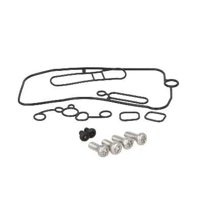 Set za popravku, karburator TOURMAX MBO-450 IC-D03FCB