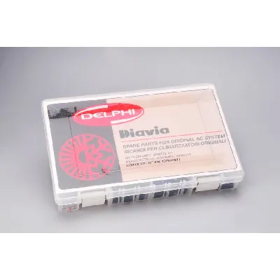 Set za popravku, klima uređaj DELPHI TSP0695011 IC-A3E0D5