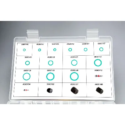 Set za popravku, klima uređaj DELPHI TSP0695011 IC-A3E0D5