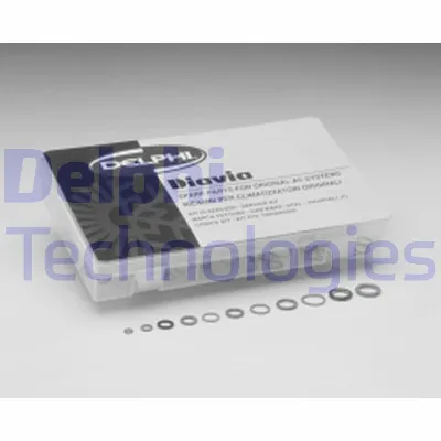 Set za popravku, klima uređaj DELPHI TSP0695011 IC-A3E0D5