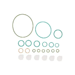 Set za popravku, pumpa za gorivo ENGITECH ENT210056 IC-G0YIY8