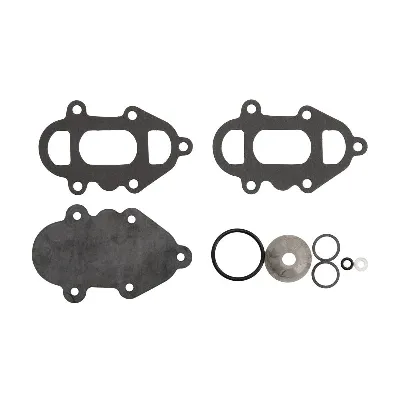Set za popravku, pumpa za gorivo SIERRA 18-7811 IC-F8B37D