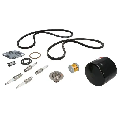 Set za popravku QUICKSILVER 8M0147061 IC-G0UB96