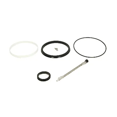 Set za popravku, radni cilindar menjača WABCO 970 150 924 2 IC-D65753