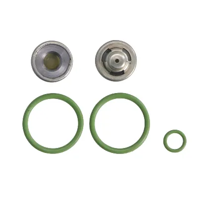 Set za popravku, razvodnik paljenja DT KLIMA 4.90536 IC-B53DDA