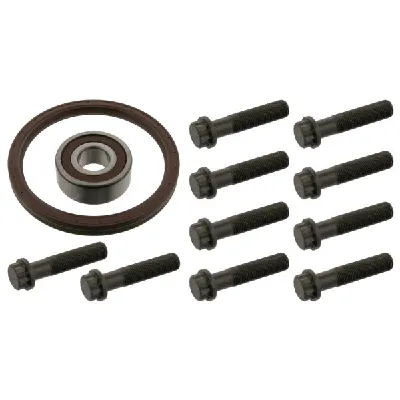 Set za popravku, zamajac FEBI FE11639 IC-420587