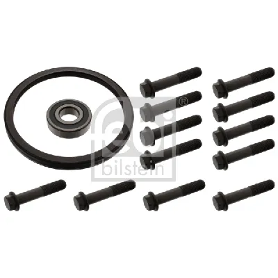 Set za popravku, zamajac FEBI FE47987 IC-E36520