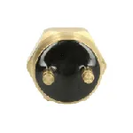 Termoprekidač, ventilator hladnjaka TOURMAX RFS-501 IC-C41A97 Termoprekidač, ventilator hladnjaka TOURMAX RFS-501 IC-C41A97