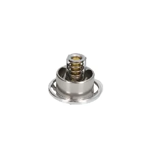 Termostat, rashladna tečnost BEHR BTHD 6 75 IC-E48A93 Termostat, rashladna tečnost BEHR BTHD 6 75 IC-E48A93