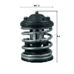 Termostat, rashladna tečnost BEHR BTX 163 87D2 IC-D704A0 Termostat, rashladna tečnost BEHR BTX 163 87D2 IC-D704A0
