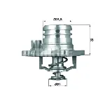 Termostat, rashladna tečnost MAHLE TI 13 92 IC-D36126 Termostat, rashladna tečnost MAHLE TI 13 92 IC-D36126