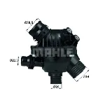 Termostat, rashladna tečnost MAHLE TM 14 97 IC-D6DC9C