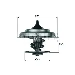 Termostat, rashladna tečnost MAHLE TX 18 55D IC-D32B83