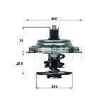 Termostat, rashladna tečnost MAHLE TX 23 83D IC-D12B07