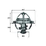 Termostat, rashladna tečnost MAHLE TX 27 80D IC-D6DCB5