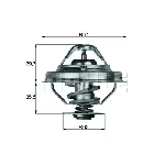 Termostat, rashladna tečnost MAHLE TX 38 80D IC-D6DCB9