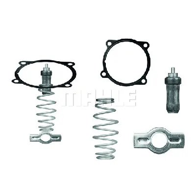 Termostat, rashladna tečnost MAHLE TX 51 79D IC-D628AC