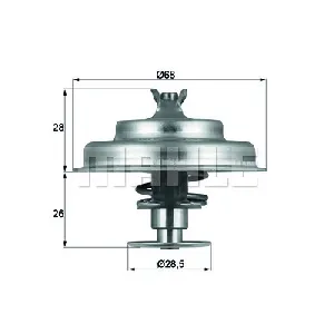 Termostat, rashladna tečnost MAHLE TX 75 80D IC-D81AEB