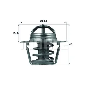 Termostat, rashladna tečnost MAHLE TX 91 89 D IC-D81AFD