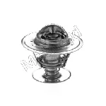 Termostat, rashladna tečnost MOTORAD 234-87K IC-E2A590