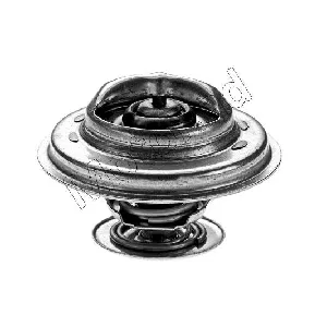Termostat, rashladna tečnost MOTORAD 247-79K IC-E2A5A7