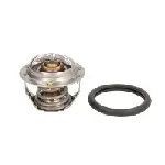 Termostat, rashladna tečnost MOTORAD 294-77K IC-E2A5E4