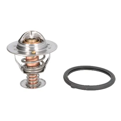 Termostat, rashladna tečnost MOTORAD 319-82K IC-E6C6CF