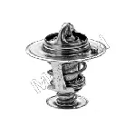 Termostat, rashladna tečnost MOTORAD 328-82K IC-E2A5F8